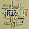 Government budget 4