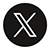 X Icon